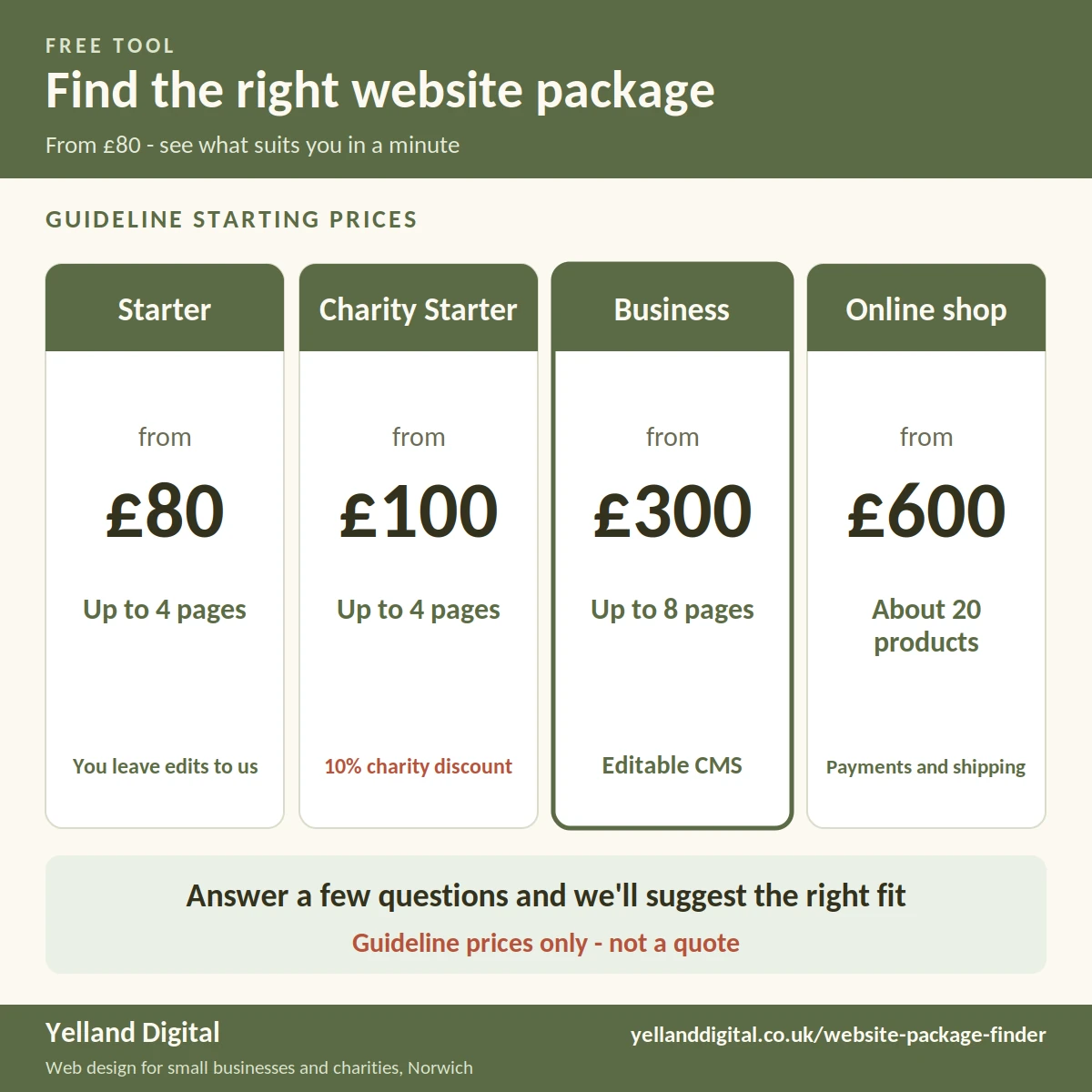 Infographic: four website packages with guideline starting prices - Starter from £80, Charity Starter from £100, Business from £300, Online shop from £600